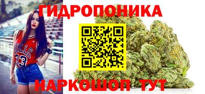 тгк Дубна