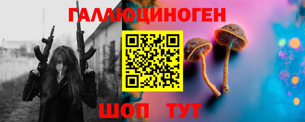 Псилоцибиновые грибы мухоморы Майкоп