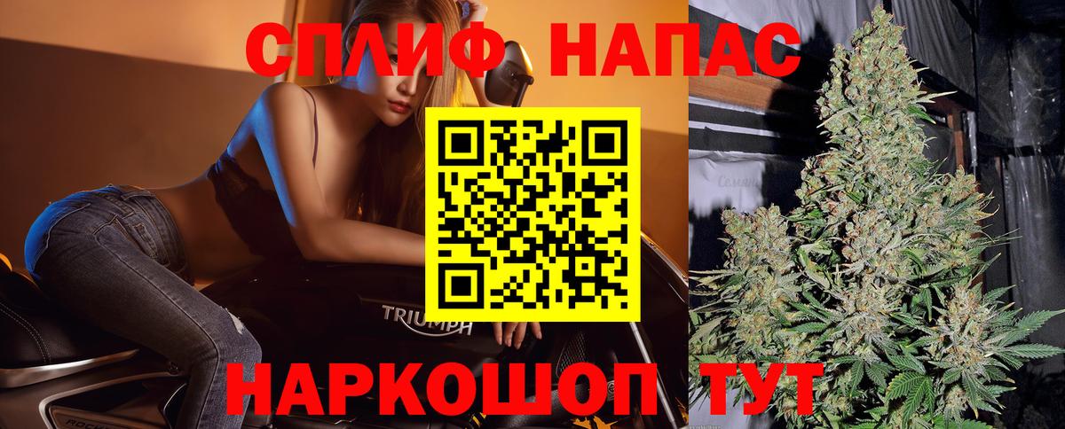 Бошки марихуана гибрид  Марихуана MAZAR  Майкоп  Конопля планчик  Канабис план  Вход с VPN 
